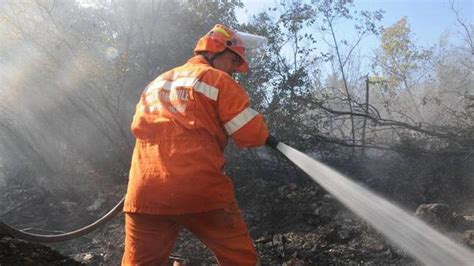 Incendio Divampa Sul Carso In Azione Anche Un Canadair Messaggero Veneto