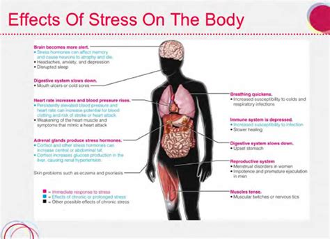 effects-of-stress - Healthy Marie