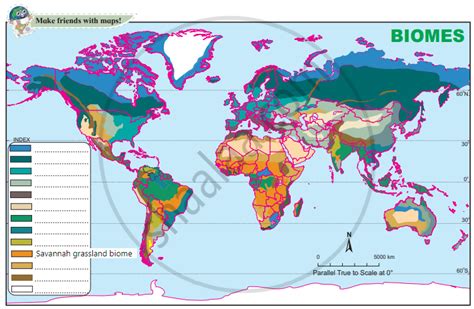 1) Various biome regions have been shown on the map. Considering the ...