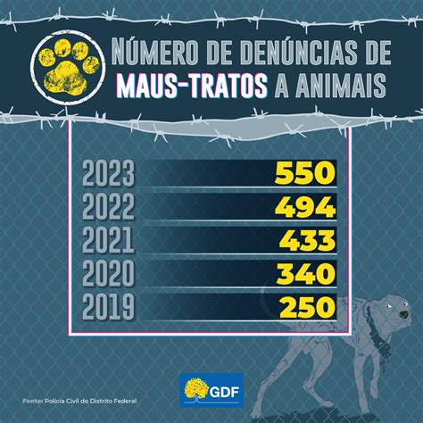 Cresce O N Mero De Apura Es De Maus Tratos A Animais No Distrito