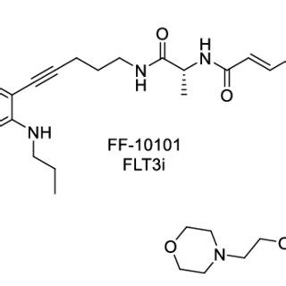 Example of inhibiting FLT3 kinase inhibitors. | Download Scientific Diagram