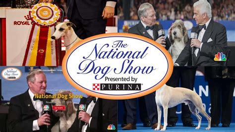 Watch National Dog Show 2021 Live Stream - Dog Show TV