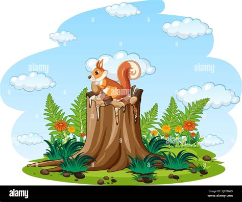 Brown Squirrel Eating Nuts In The Garden Illustration Stock Vector