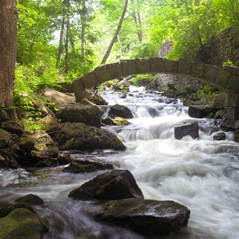 Binbrook Conservation Area - Hamilton Halton Brant