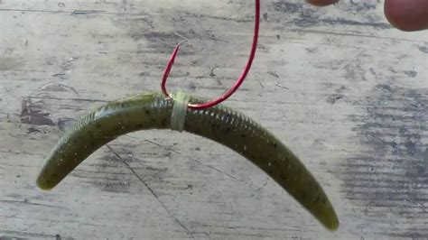 5 Plastic Worm Rigs For Bass You Should Know All Fishing Gear