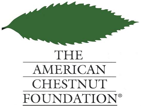 American Chestnut Foundation - Westchester Tree Life