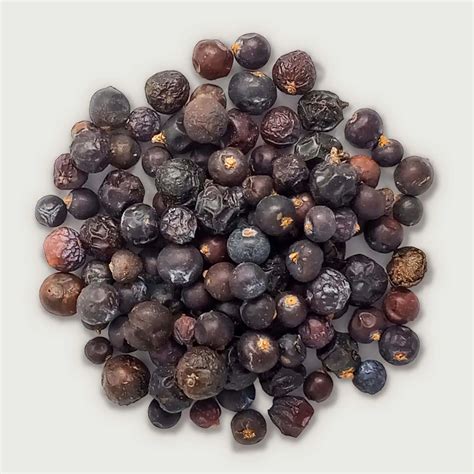 Enebro (Juniper Berries) 16 oz | Herbs of Mexico