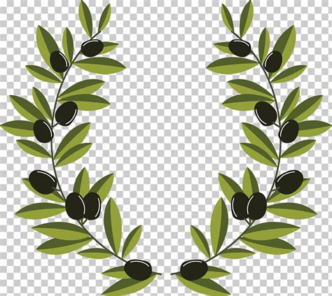 Olive Branch Wreath Vector at Vectorified.com | Collection of Olive