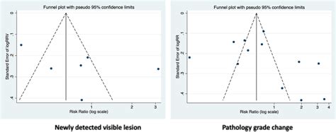 Funnel Plot Assessing Publication Bias For Newly Detected Visible