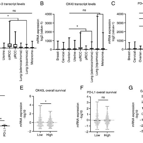 Intratumoral Composition Of Immune Co Receptors In Hgsoc A