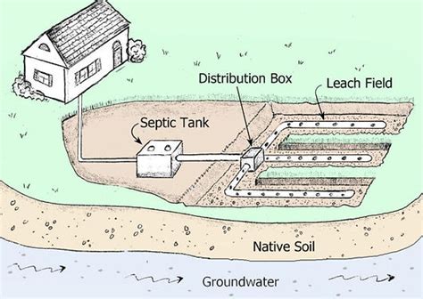 State Certified Septic Installer Field Drain Installs Frenias Plumbing