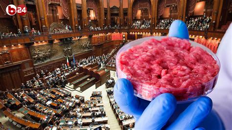 Passa Il Divieto Sulla Carne Sintetica Ora La Palla Passa Al Quirinale