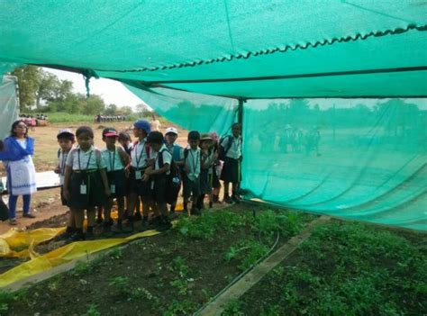 Field Trip To Farm International School In Hyderabad