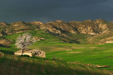 Sicily Landscape - Salvo Orlando Photography