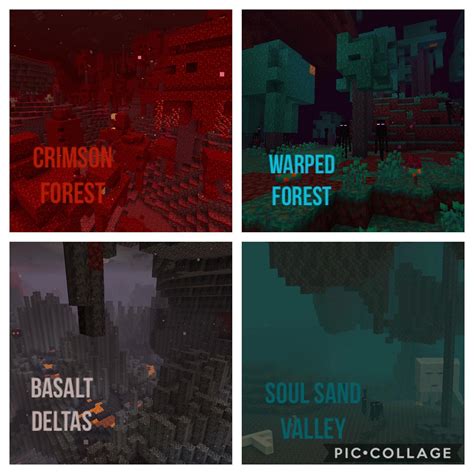 New Nether Biomes