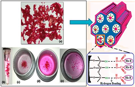 In Vitro Release Profile Of Rhodamine B At Different Ph Values Download Scientific Diagram