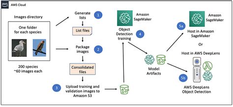 Image Classification Of Bird Species Using Deep Learning With Pytorch