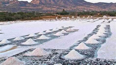 Pesca En Salina Cruz Queda A La Deriva Tras Derrame De Hidrocarburos