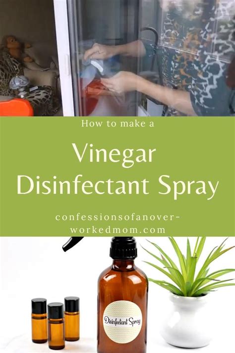 Vinegar Disinfectant Spray for Home and Car Cleaning [Video] [Video ...