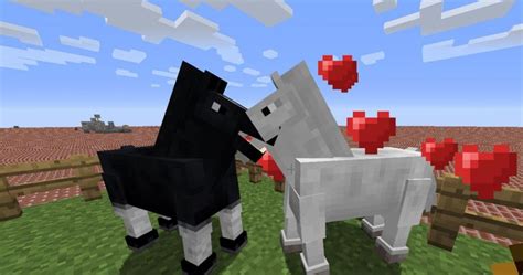 Dans Minecraft Que Mangent Les Chevaux - Un Guide Complet | Hispanic Net