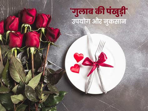 Rose Flower Uses In Hindi Best Flower Site