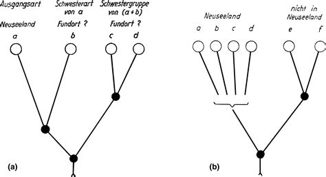 When Phylogenetics Met Biogeography Willi Hennig Lars Brundin And The