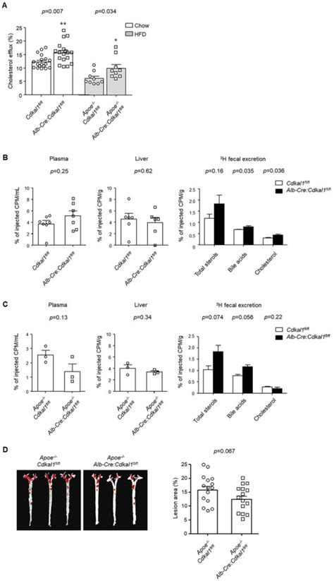 Hepatic Cdkal1 Deletion Regulates Hdl Catabolism And Promotes Reverse