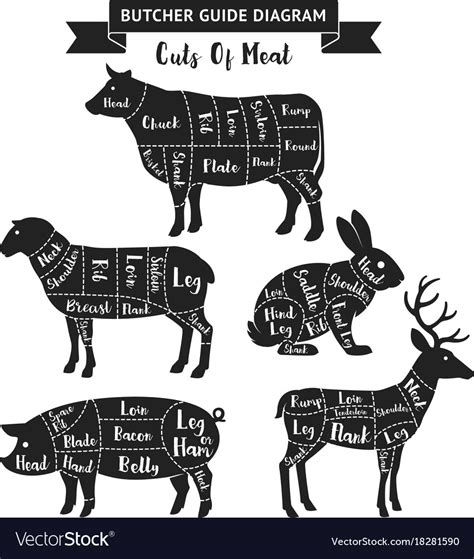 Butcher Beef Cuts Diagram