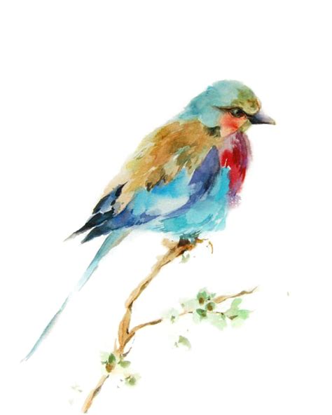 Download Bird Watercolor Printmaking Drawing Painting Birds Clipart Png Free Freepngclipart