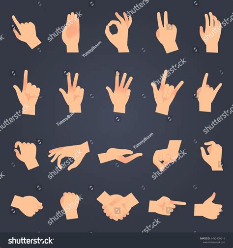 Hand Position Set Female Or Male Hands Holding Gesture Opening