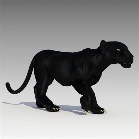 3D Model Black Panther Animated VR AR Low Poly Rigged Animated