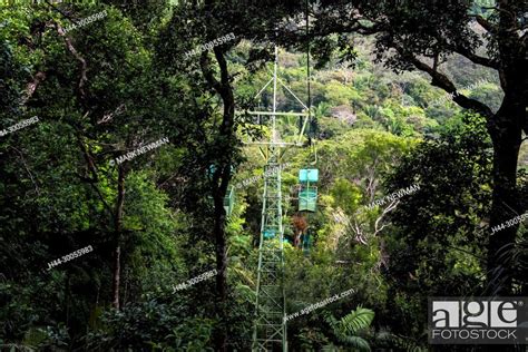 panamanian jungle, panama panamanian jungle, panama, Stock Photo ...