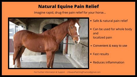 Natural Equine Pain Relief Youtube