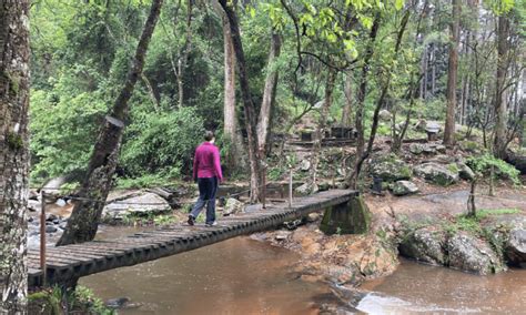 Rainforests And Waterfalls Magoebaskloof Uncovered