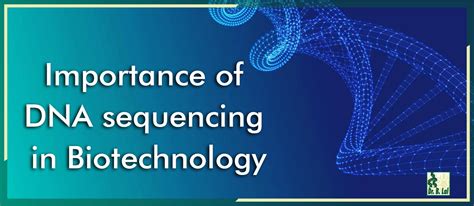 Importance of DNA Sequencing in Biotechnology | Blog