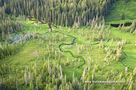 A Wild Ride: 50 Years of the US Wilderness Act – National Geographic ...