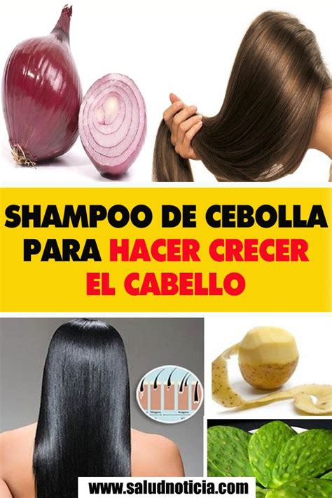 SHAMPOO DE CEBOLLA PARA HACER CRECER EL CABELLO Hair Beauty Fruit