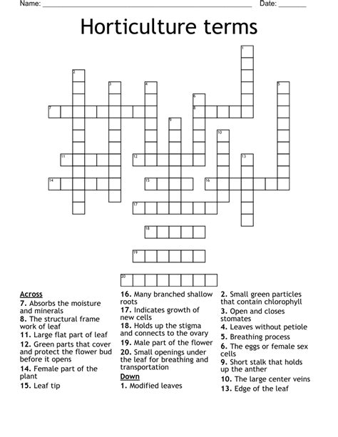 Flower Part Definitions Crossword Puzzle Answer Key Best Flower Site