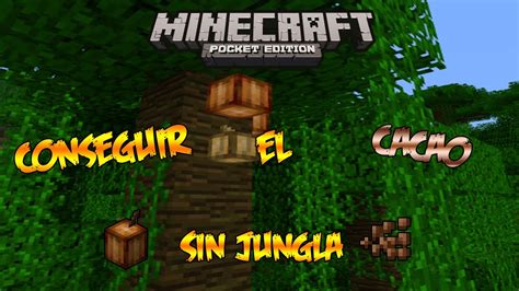 Minecraft PE 0 8 1 Como Conseguir El Cacao YouTube