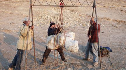 Pérou des scientifiques découvrent les ossements d un ancêtre de la