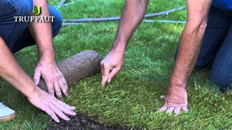 Comment Poser Du Gazon Naturel En Rouleau Jardinerie Truffaut Tv