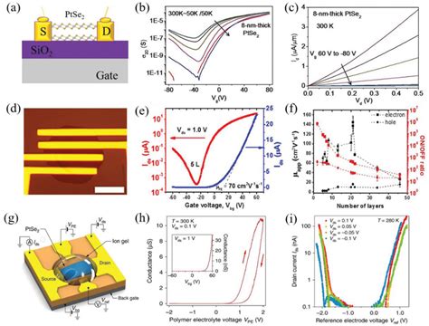 Field Effect Transistors Of 2d Ntmds A Schematic Representation Of