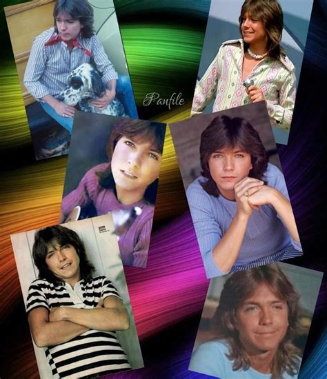 David Cassidy | David cassidy, Favorite celebrities, Heartthrob