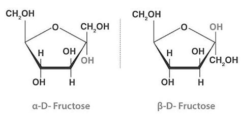 Structure Of Glucose And Fructose Properties Structural Difference L Glucose D Glucose