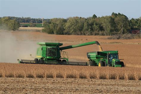 Soybean Harvest