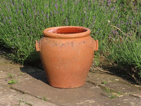 Antique Terracotta Plant Pot Lichen Garden Antiques