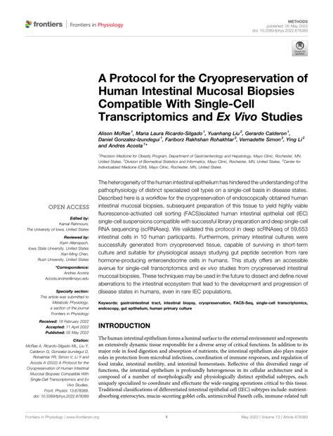 Pdf A Protocol For The Cryopreservation Of Human Intestinal Mucosal