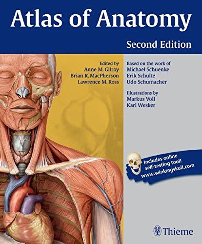 『atlas Of Anatomy』｜感想・レビュー 読書メーター