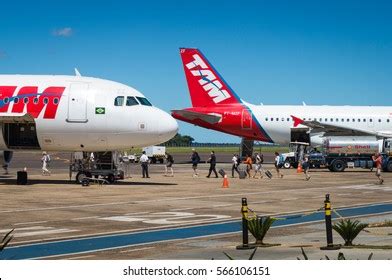 674 Tam Airline Images Stock Photos Vectors Shutterstock