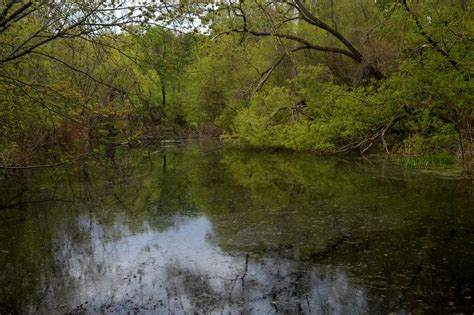 The Don River watershed by Pmartel on YouPic